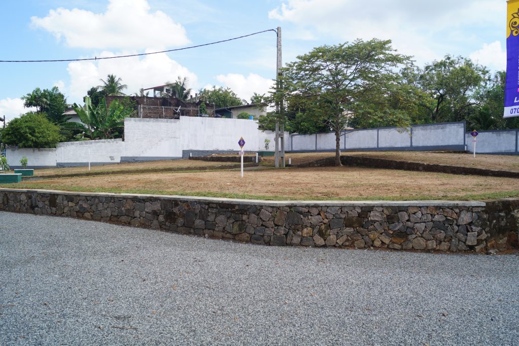DSC03098